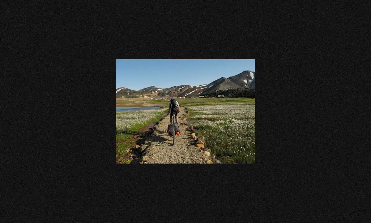 Oxtail trailer photo 7