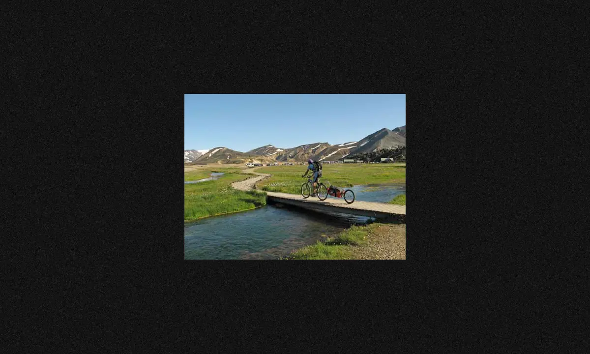 Oxtail trailer photo 8